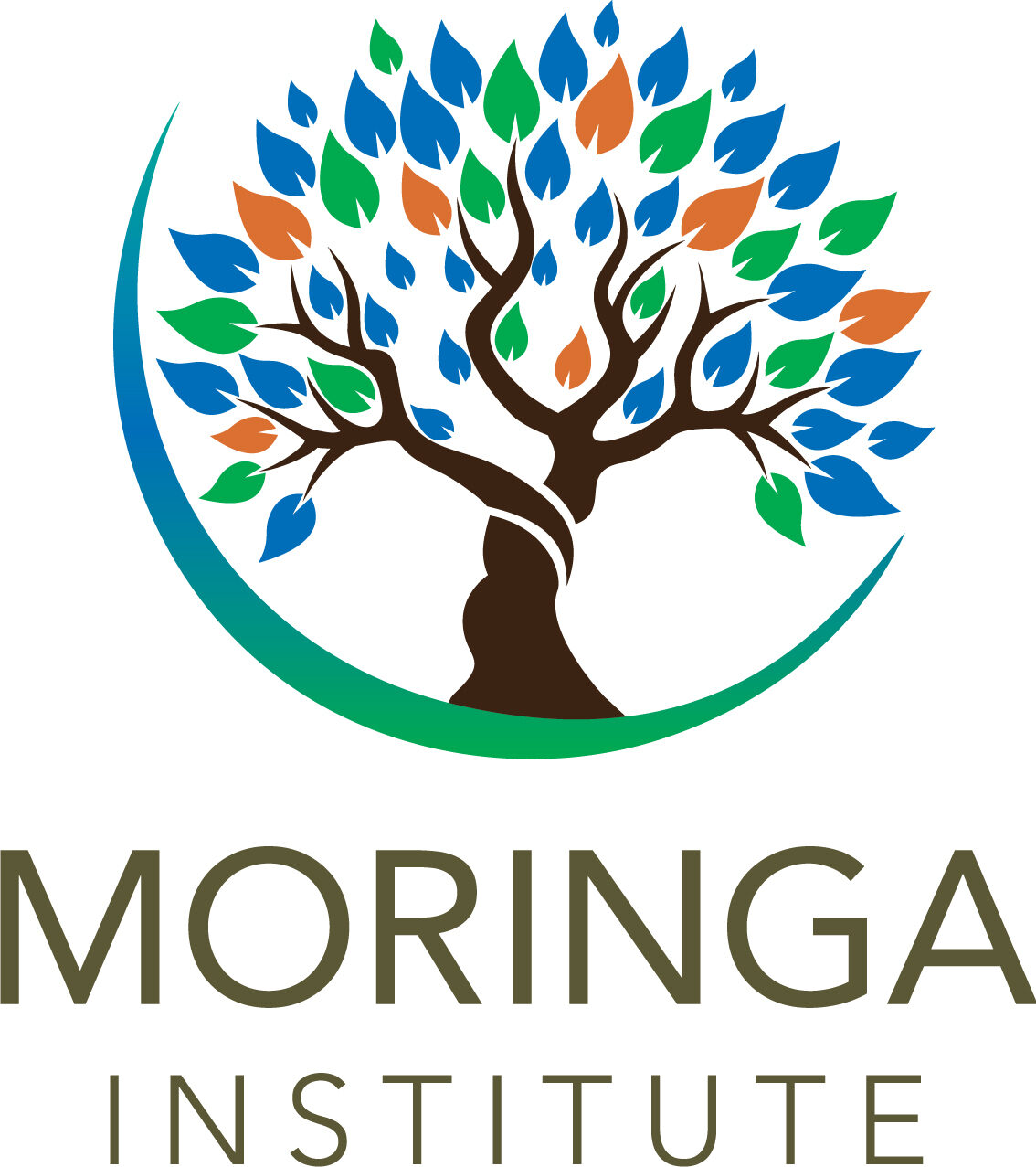 Moringa Institute